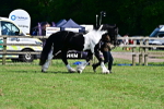 SBM_10090