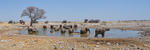 Etosha National Park - September 2025 portfolio