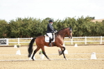 SBM_008641