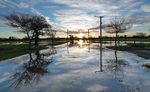 Waitaki Street