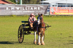One horse and cart 9. 0A3A9509