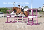 BPP_2491