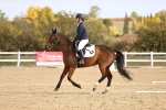 SBM_009187