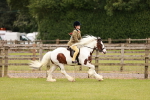 SBM_06204