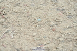 230721A-103505-05205