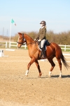 SBM_003428
