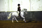 SBM_009333