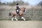 SBM_006088