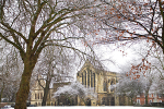 IMG_7674 SNOWY DEANS PARK YORK MINSTER LIBRARY copy