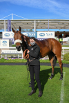 Race 7 4.50pm Autohorn Stakes portfolio