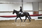 BPP_2541