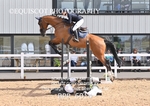 BPP_6014