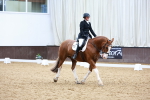 SBM_003247