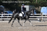 BPP_8773
