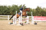 SBM_008433