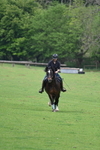 WJ7_2449