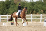 SBM_015833