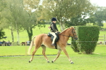 SBM_62419