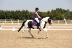 SBM_004331