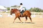 SBM_002762