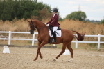 SBM_011931