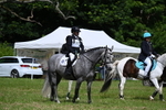 WJ7_1869