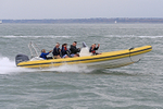 190803 YELLOW SCORPION RIB 1Y3A8559