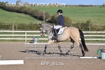 BPP_8116
