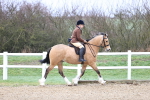 SBM_007508