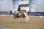 SBM_001488