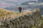 Tweed Valley-630