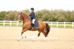 SBM_007454