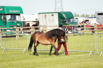 SBM_00633