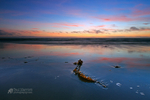 The Blue Hour