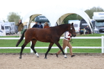 SBM_05019