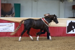 SBM_17617