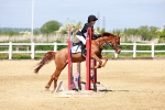 SBM_007488