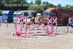 BPP_3877