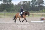 BPP_6239