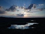 Saltmarshes - North Norfolk
