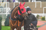 141125-Race 2-Gunsight Ridge-9516
