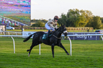 300926-Race 8-Jojo Rabbit-7194