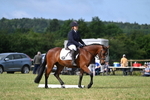 WJ7_1510