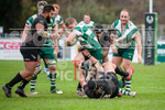 Guernsey Raiders v Rochford Hundred-23