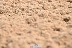 240622A-095732-07464