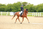 SBM_006275