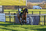 221124-Race 4-Duke Of Luckley-5146