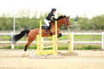 SBM_009511