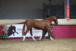 SBM_06545