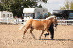 SBM_04568